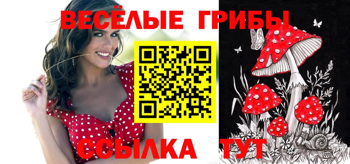Псилоцибиновые грибы Psilocybine cubensis Лесной